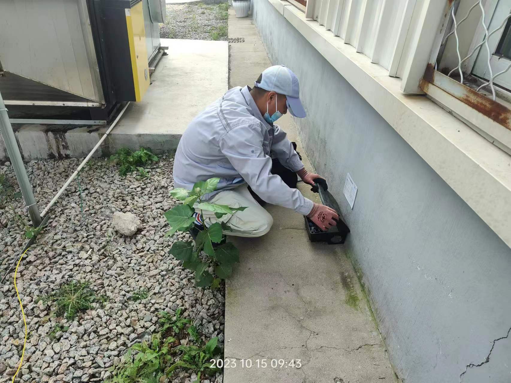 连云港嘉宏科技食堂灭鼠控虫设施检查